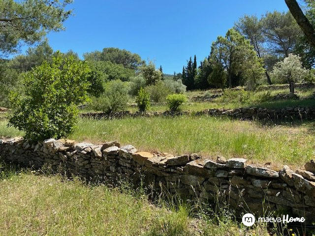 Terrain de loisirs - 6 500 m²