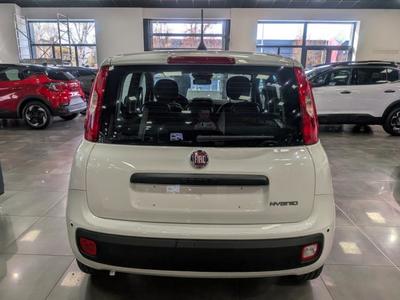 Fiat Panda 1.0 70 ch Hybrid Bsg s/S City