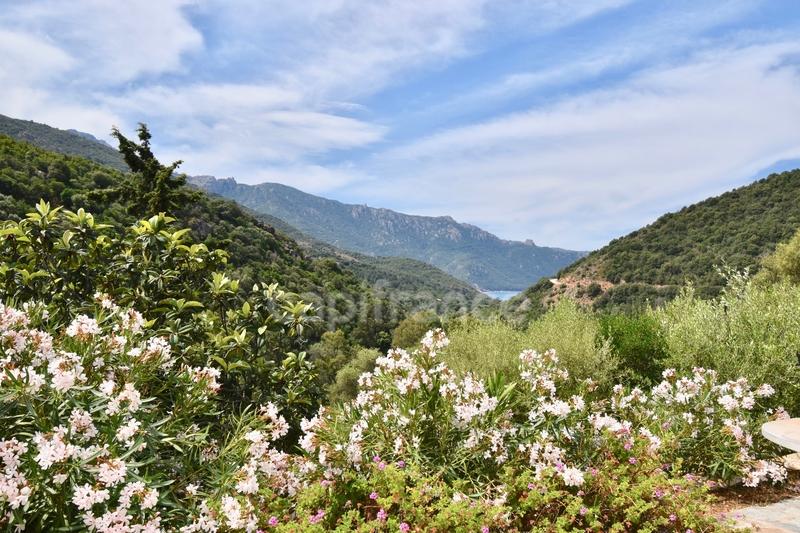 Maison - 89 m² - 3 pièces