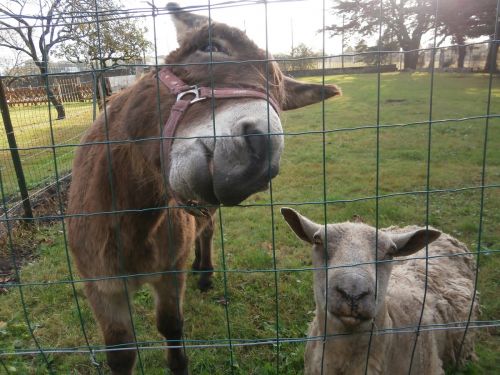Manoir de l'Espérance