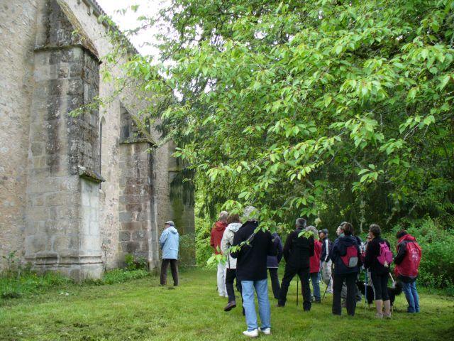 Marche des Trois églises