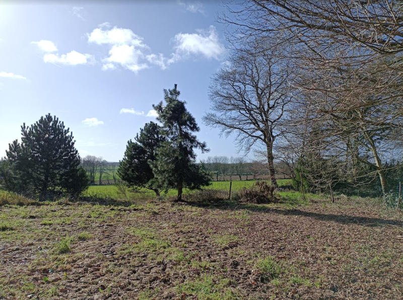 Maison - 200 m² - 5 pièces