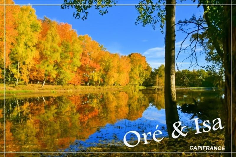 Terrain - 49 655 m²