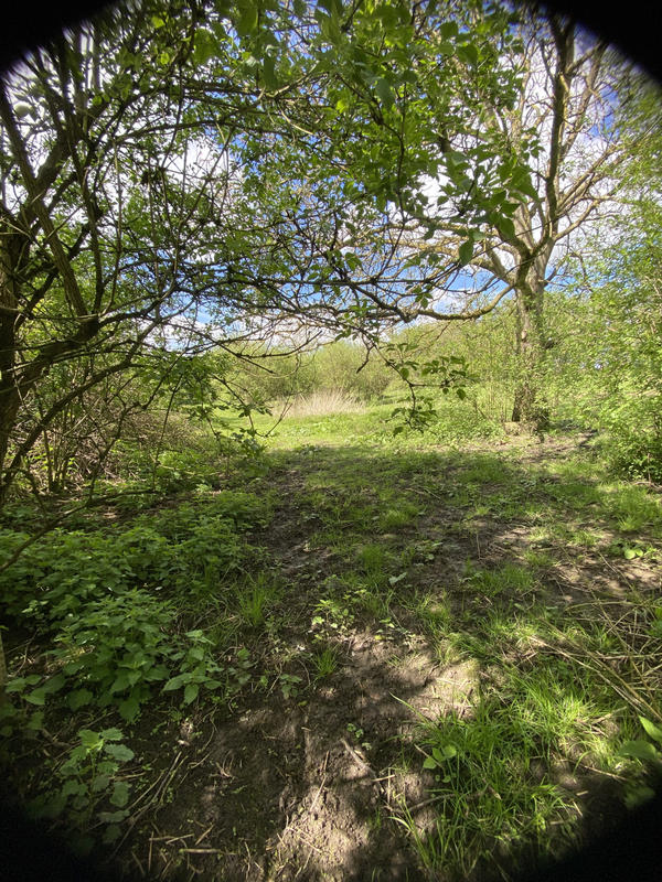 Maison - 66 m² - 3 pièces