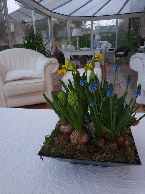 Propriété - 680 m² - 17 pièces