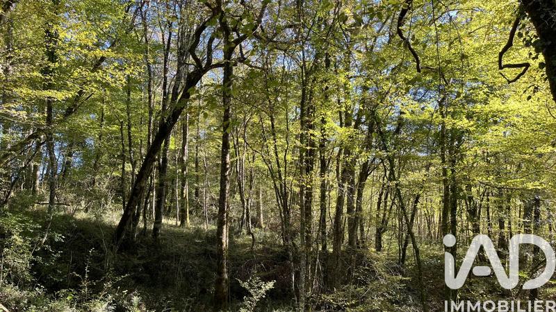 Terrain agricole - 96 509 m²