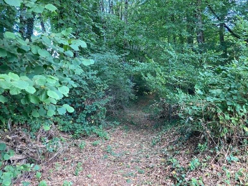 Maison - 157 m² - 6 pièces