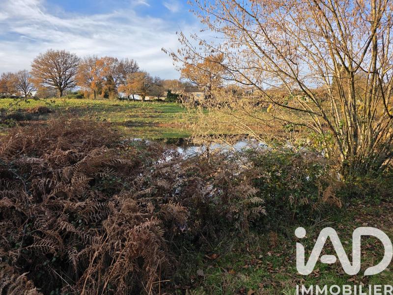 Terrain - 41 275 m²