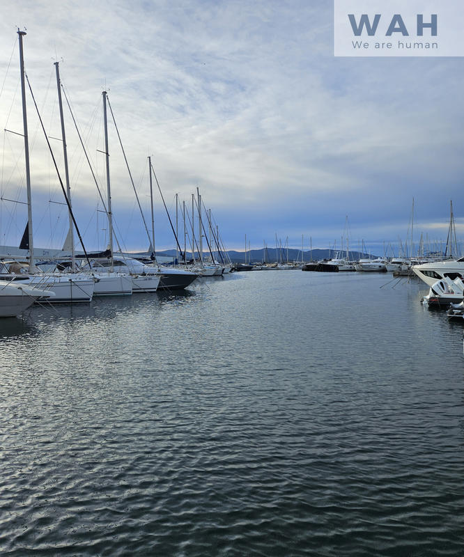 Appartement - 31 m² - 1 pièce