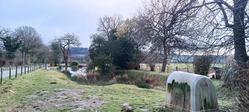 Hangar - 325 m² - 2 pièces