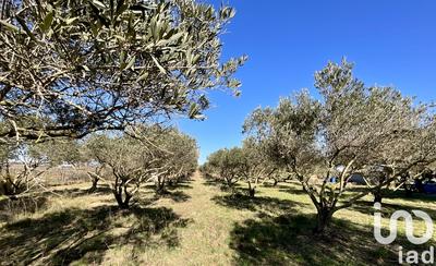 Terrain agricole - 7 264 m²