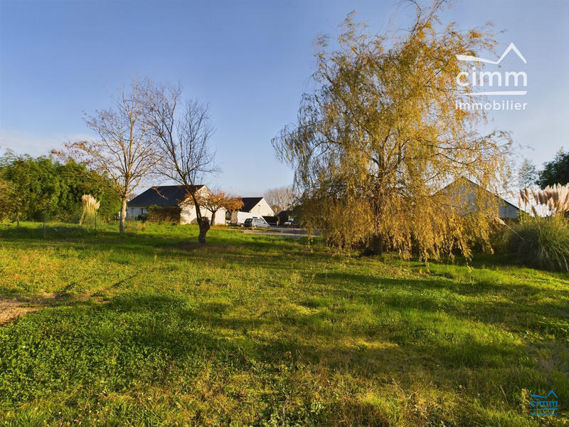 Terrain - 737 m²