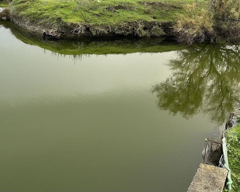 Terrain - 11 140 m²