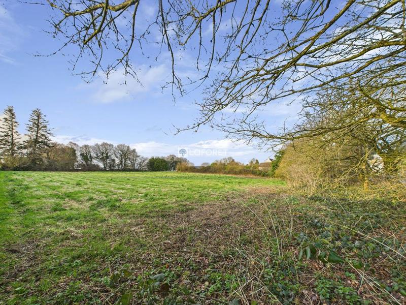 Terrain constructible - 2 206 m²