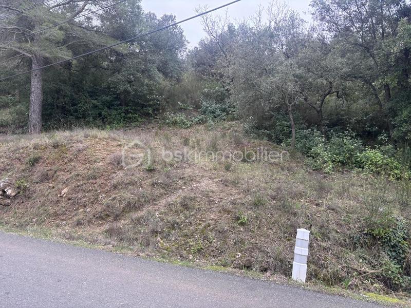 Terrain - 26 435 m²