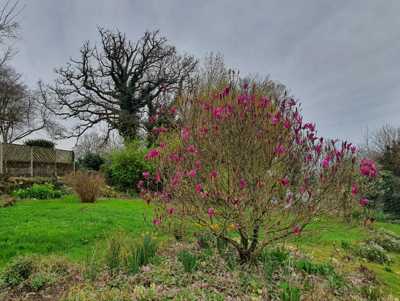 Maison - 74 m² - 4 pièces