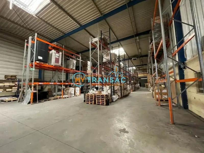 Local d'activité / Entrepôt - 3 699 m²