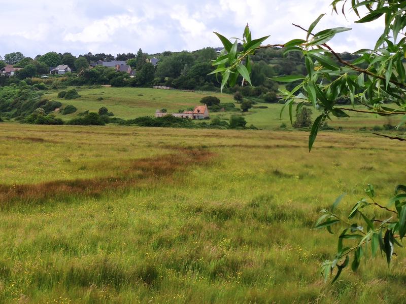 Sortie nature - le vivant de la vallée de la Scie