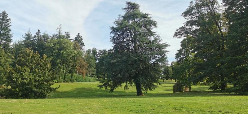 Duplex - 24 m² - 2 pièces