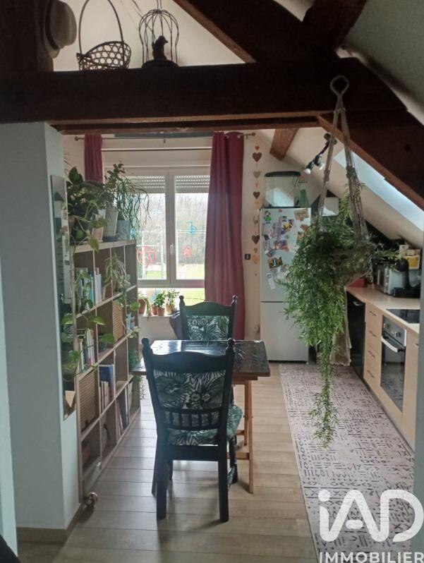 Appartement - 53 m² - 2 pièces