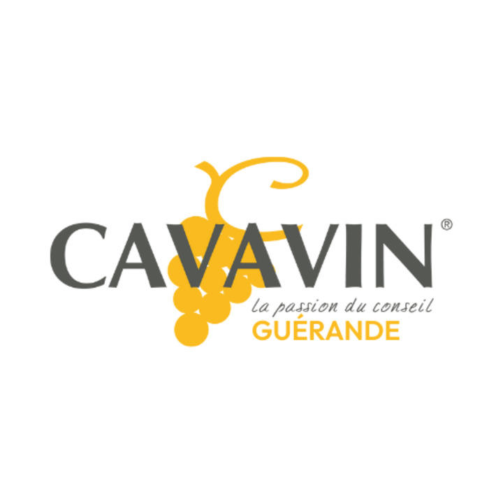 Cavavin