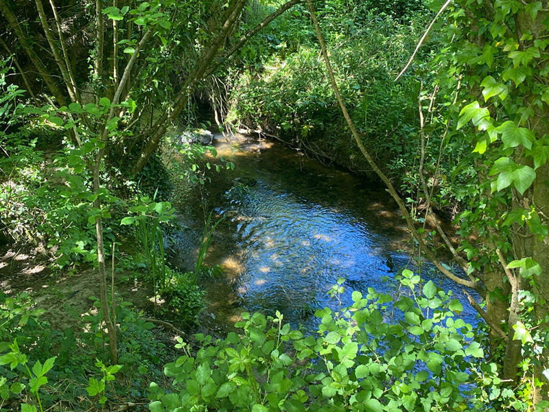 Maison - 224 m² - 7 pièces