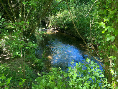 Maison - 224 m² - 7 pièces