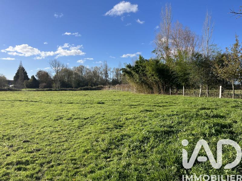 Maison de campagne - 100 m² - 5 pièces