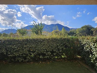 Studio - 31 m² - 1 pièce