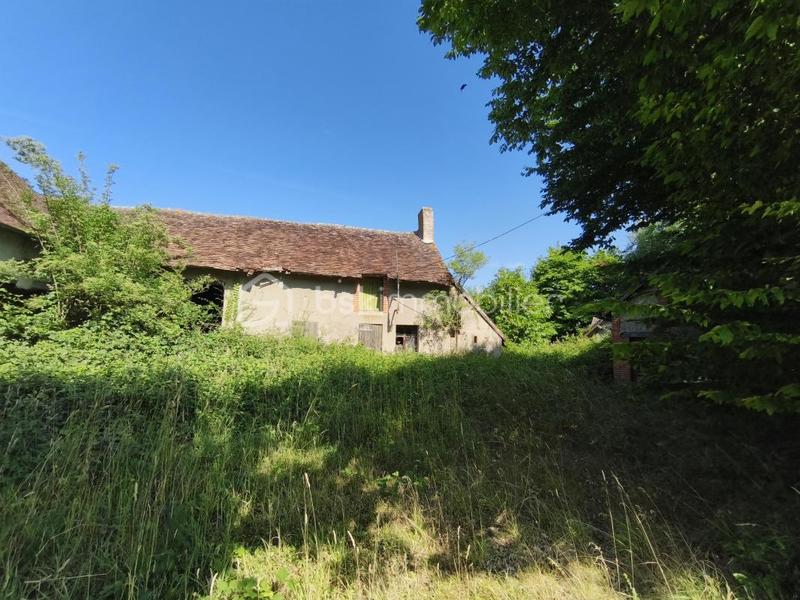 Fermette - 20 m² - 1 pièce