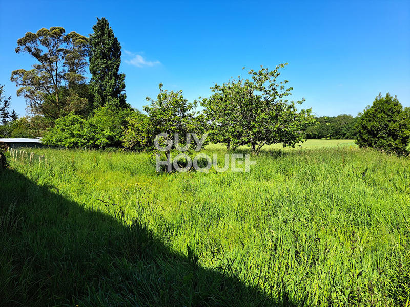 Maison - 270 m² - 2 pièces