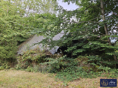 Maison ancienne - 30 m² - 1 pièce