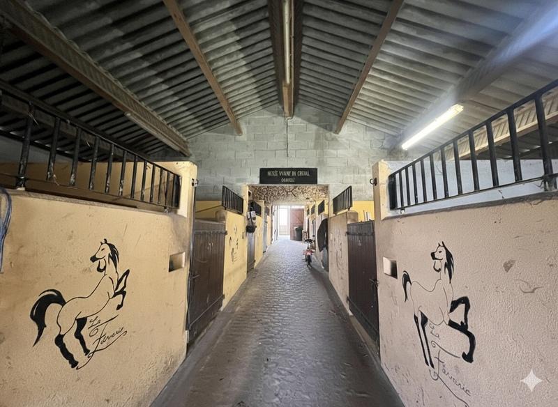 Haras - 330 m² - 15 pièces