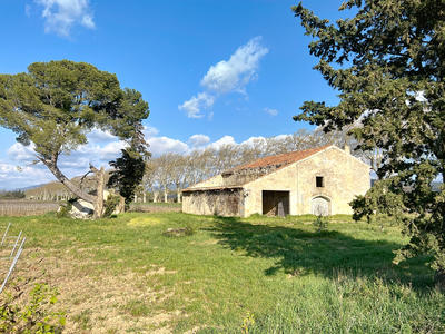 Ferme - 115 m² - 4 pièces