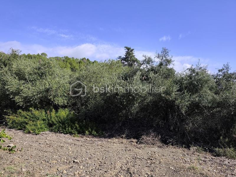 Terrain agricole - 2 420 m²