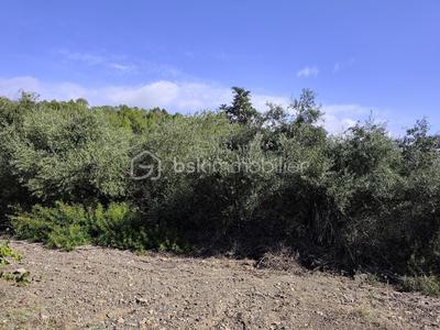 Terrain agricole - 2 420 m²