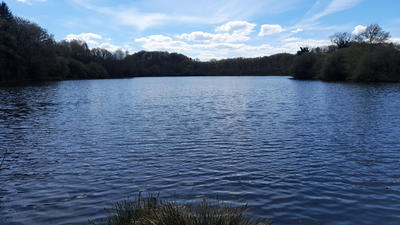 Terrain - 73 256 m²