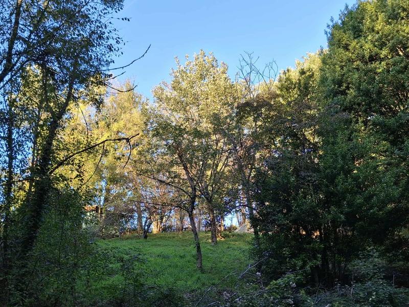 Maison - 173 m² - 8 pièces