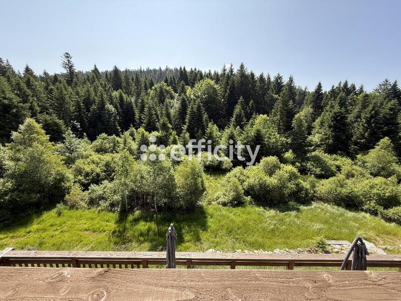 Maison - 330 m² - 10 pièces