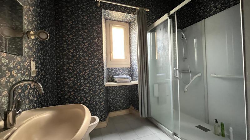 Maison en pierre - 335 m² - 12 pièces