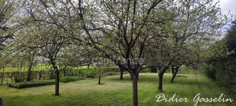 Maison - 131 m² - 6 pièces