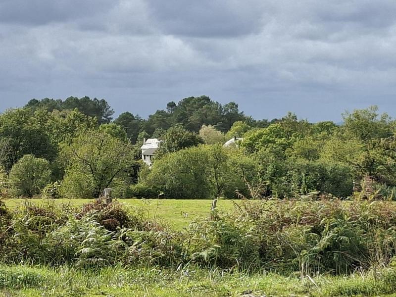 Terrain constructible - 1 300 m²