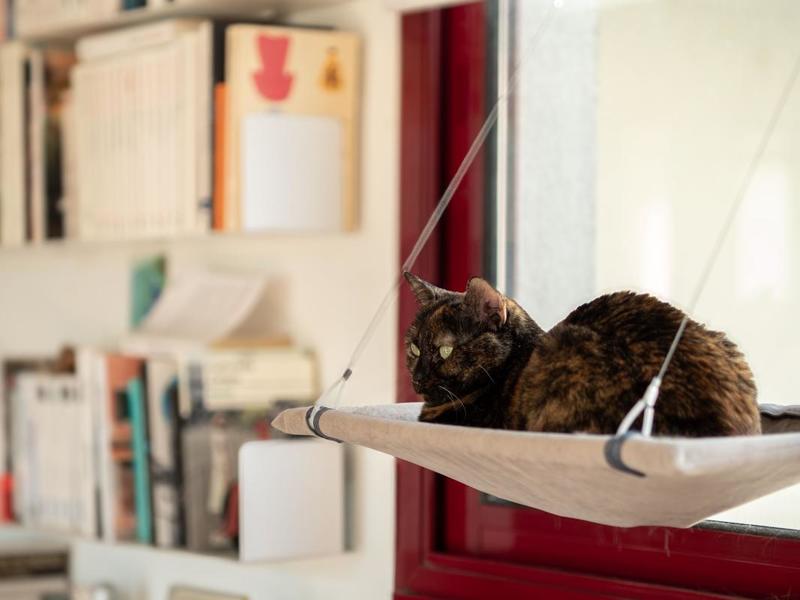 Appartement - 90 m² - 3 pièces