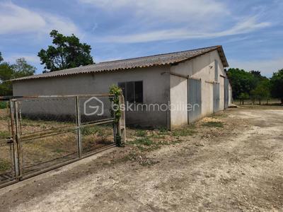 Maison - 315 m² - 3 pièces