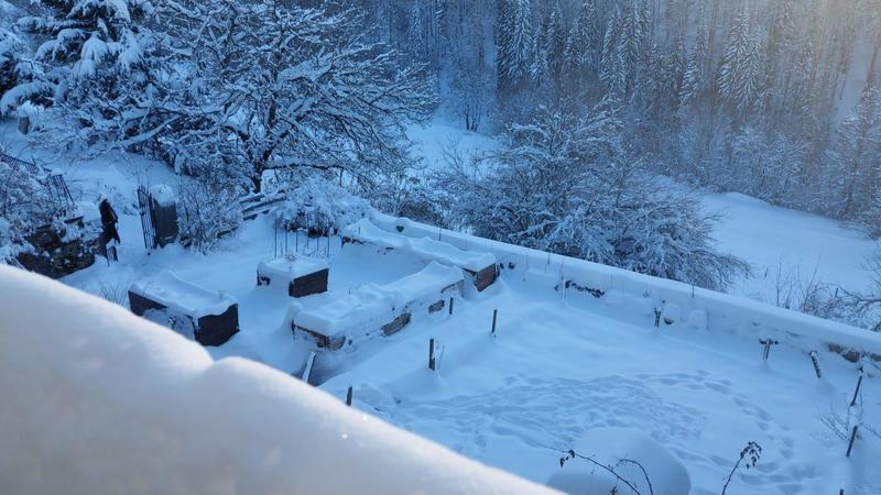 Maison - 503 m² - 10 pièces