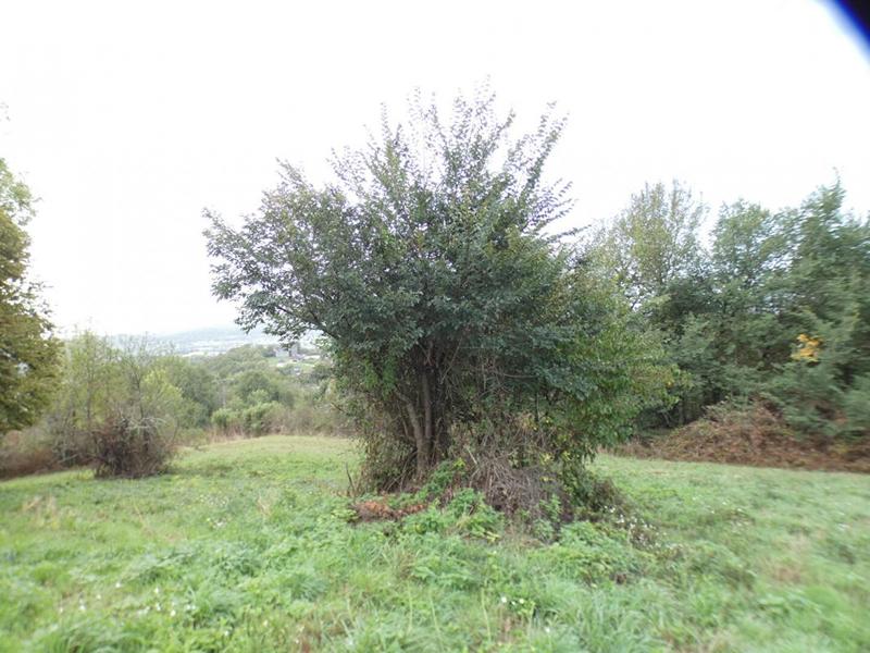 Terrain constructible - 2 471 m²