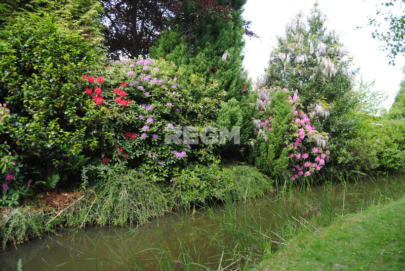 Propriété - 323 m² - 10 pièces