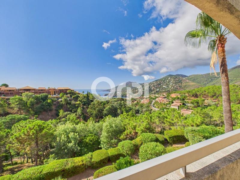 Appartement - 29 m² - 2 pièces