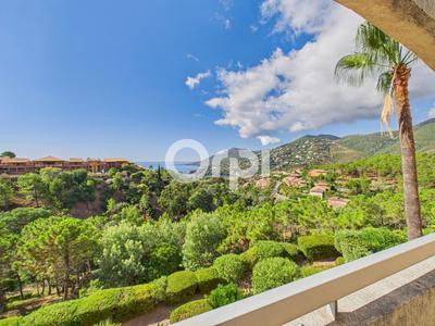 Appartement - 29 m² - 2 pièces