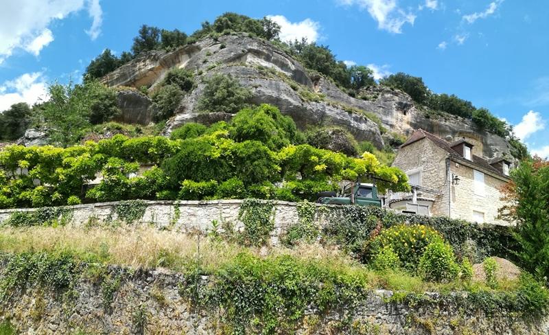 Printemps de la biodiversité - la flore sauvage des Eyzies